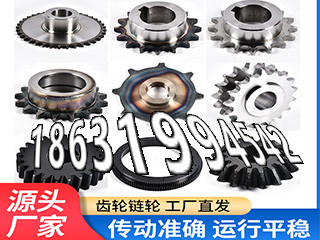 斗式提升机链轮怎么选购